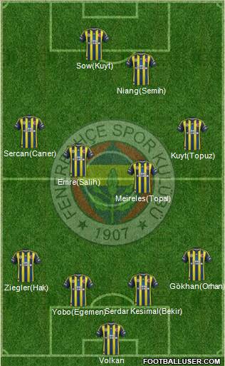 Fenerbahçe SK Formation 2013