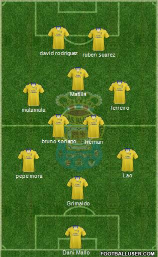 U.D. Las Palmas S.A.D. Formation 2013