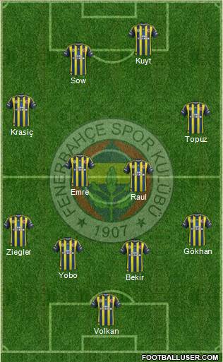 Fenerbahçe SK Formation 2013