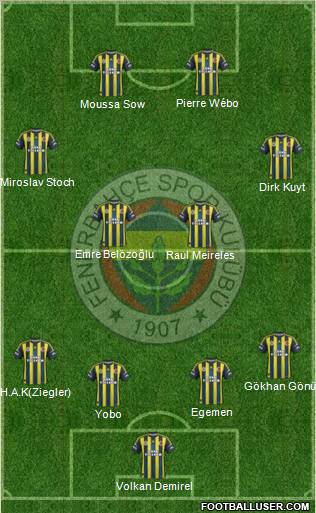 Fenerbahçe SK Formation 2013