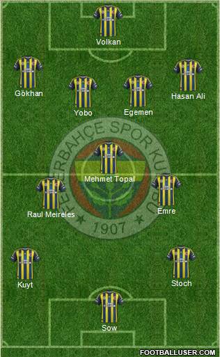 Fenerbahçe SK Formation 2013