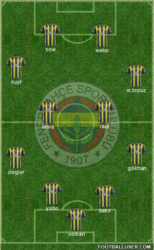 Fenerbahçe SK Formation 2013