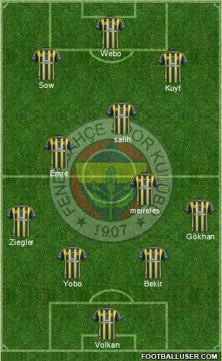 Fenerbahçe SK Formation 2013