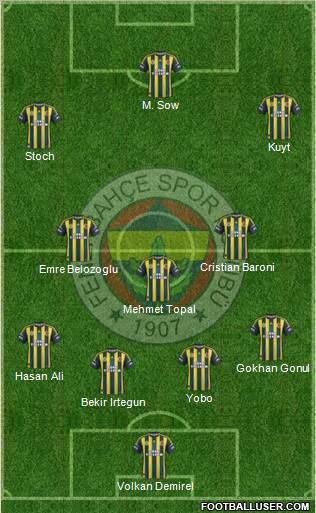 Fenerbahçe SK Formation 2013