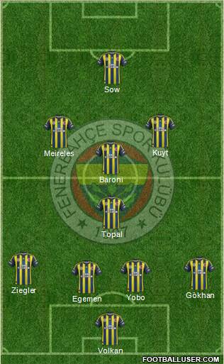 Fenerbahçe SK Formation 2013