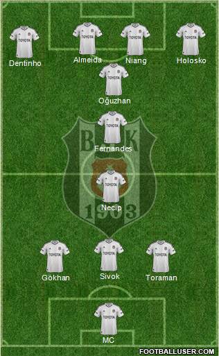Besiktas JK Formation 2013