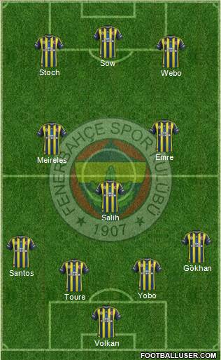 Fenerbahçe SK Formation 2013