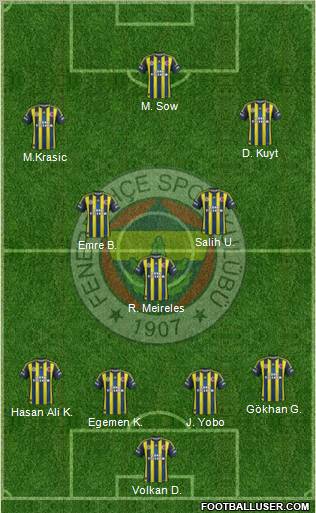 Fenerbahçe SK Formation 2013
