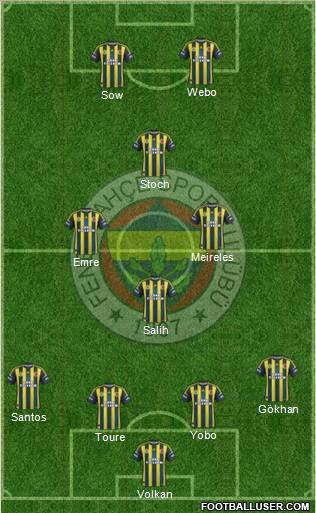 Fenerbahçe SK Formation 2013