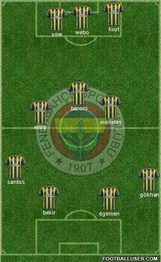 Fenerbahçe SK Formation 2013