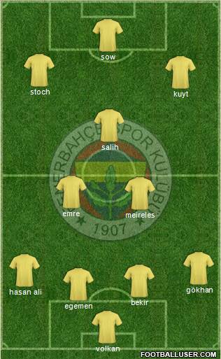 Fenerbahçe SK Formation 2013