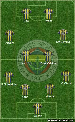 Fenerbahçe SK Formation 2013