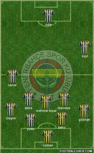Fenerbahçe SK Formation 2013
