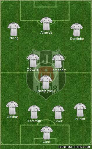 Besiktas JK Formation 2013