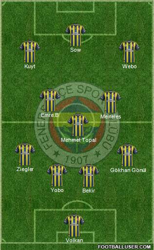 Fenerbahçe SK Formation 2013