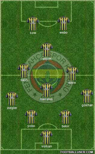 Fenerbahçe SK Formation 2013
