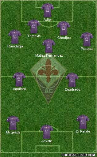 Fiorentina Formation 2013