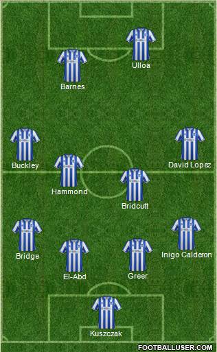 Brighton and Hove Albion Formation 2013