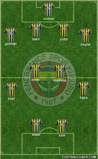 Fenerbahçe SK Formation 2013