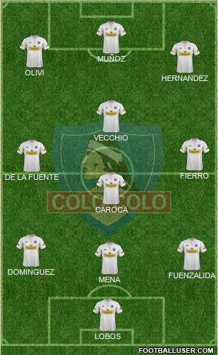 CSD Colo Colo Formation 2013