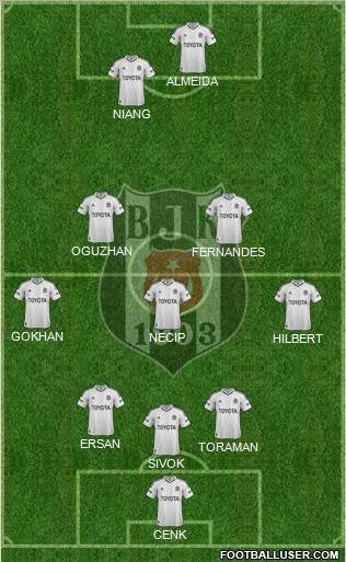 Besiktas JK Formation 2013