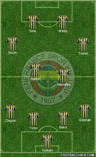 Fenerbahçe SK Formation 2013