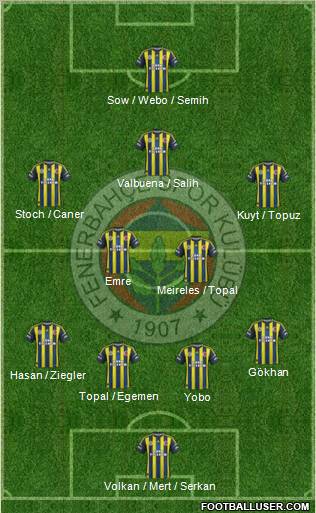 Fenerbahçe SK Formation 2013