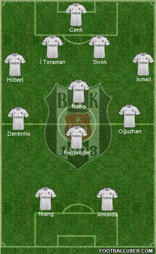Besiktas JK Formation 2013