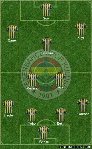Fenerbahçe SK Formation 2013
