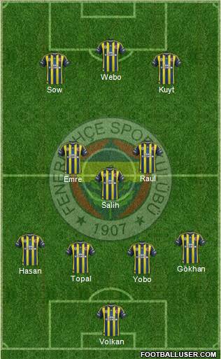 Fenerbahçe SK Formation 2013