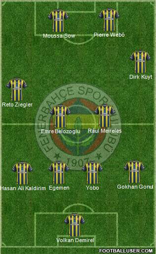 Fenerbahçe SK Formation 2013