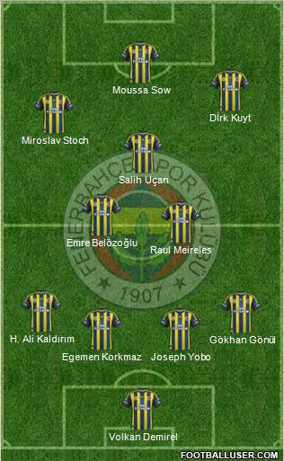 Fenerbahçe SK Formation 2013