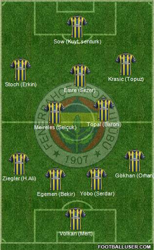 Fenerbahçe SK Formation 2013