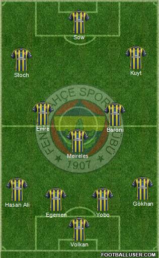 Fenerbahçe SK Formation 2013