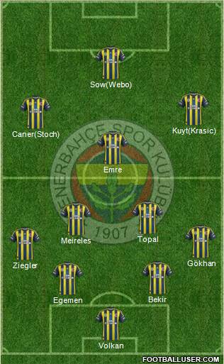 Fenerbahçe SK Formation 2013