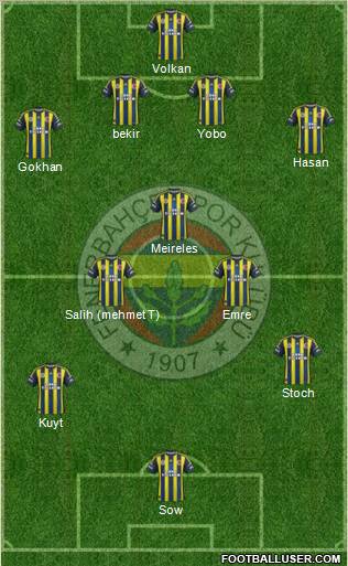Fenerbahçe SK Formation 2013
