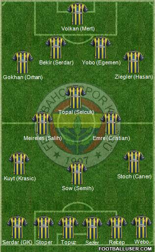 Fenerbahçe SK Formation 2013