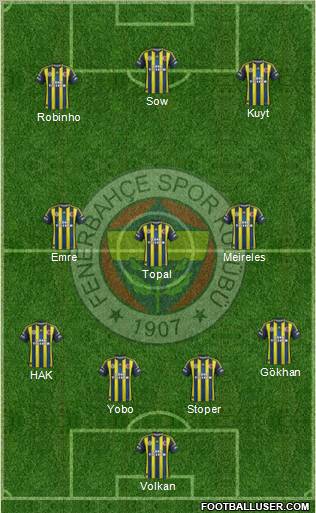 Fenerbahçe SK Formation 2013