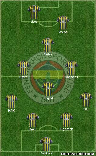 Fenerbahçe SK Formation 2013