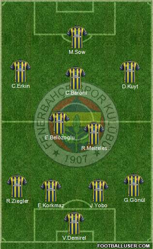 Fenerbahçe SK Formation 2013