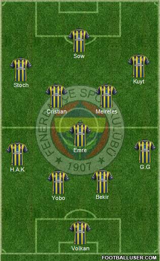 Fenerbahçe SK Formation 2013