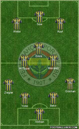 Fenerbahçe SK Formation 2013