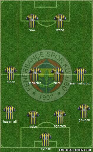 Fenerbahçe SK Formation 2013