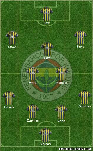 Fenerbahçe SK Formation 2013