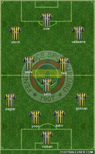 Fenerbahçe SK Formation 2013