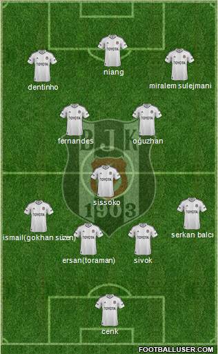 Besiktas JK Formation 2013