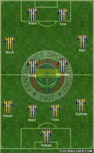 Fenerbahçe SK Formation 2013