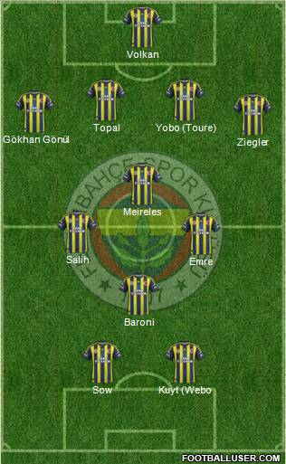 Fenerbahçe SK Formation 2013