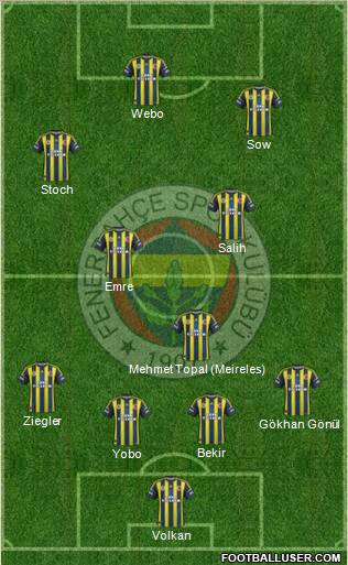 Fenerbahçe SK Formation 2013
