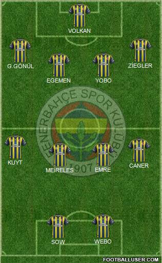 Fenerbahçe SK Formation 2013